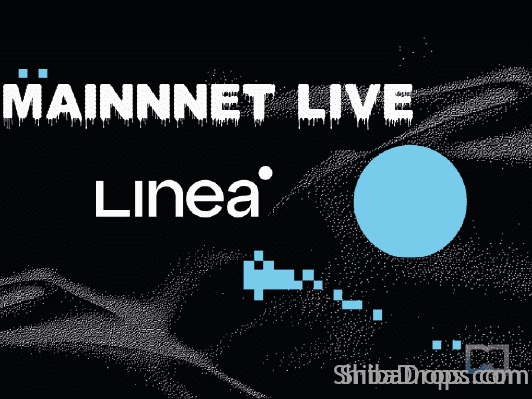 Linea Mainnet Full Guide Big Airdrop