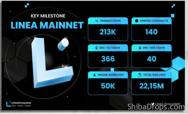 Linea Mainnet Full Guide Big Airdrop