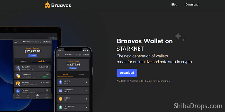 Bravos –  Airdrop em potencial na Starknet