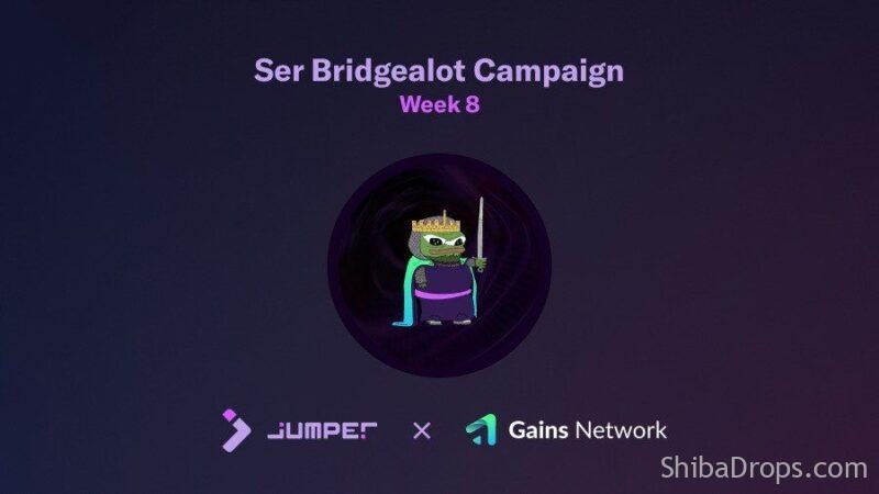 Join to the Quest8 Ser Bridgealot Campaign Jumper x Gains Network