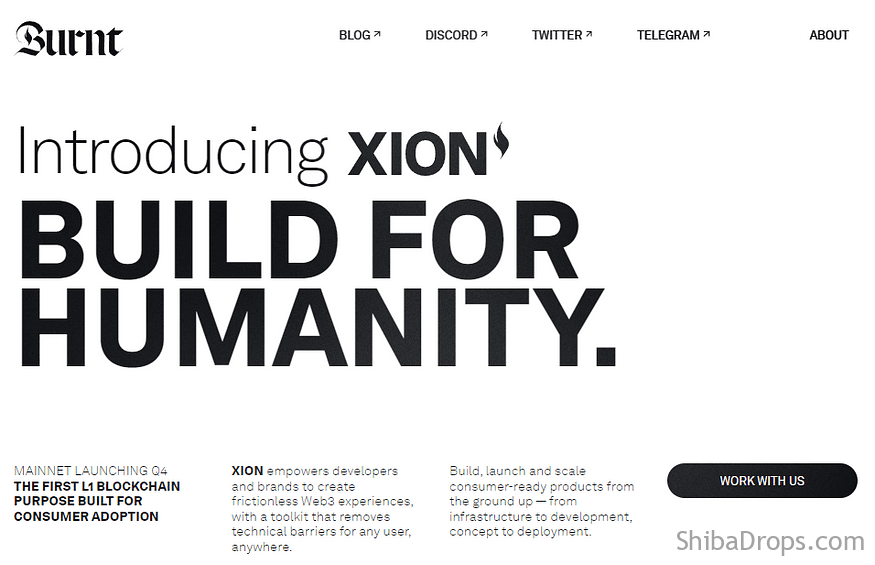 XION TESTNET OPEN NOW TUTORIAL TO GET POSITIONED FOR POTENTIAL AIRDROP