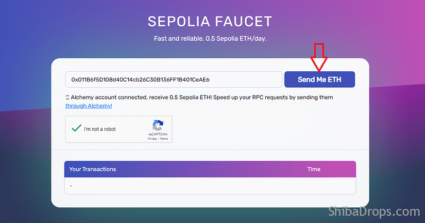 Scroll Sepolia Full Beta & Final Testnet Cover Airdrop Soon