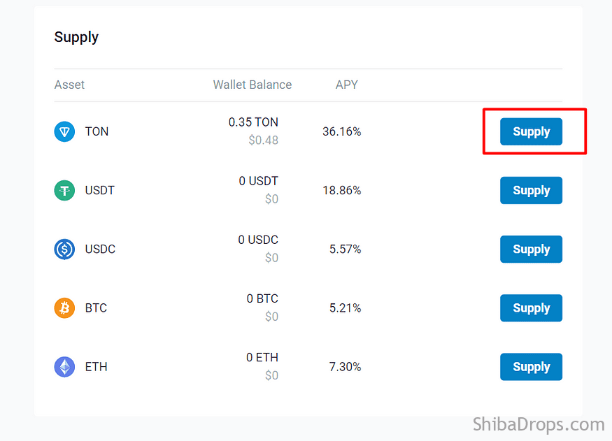 VAA Protocol Powered By TON Telegram Step By Step Testnet Airdrop Confirmed For Testers