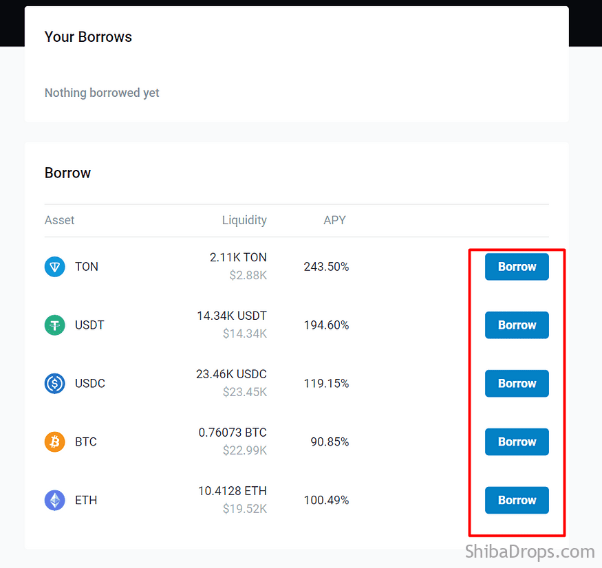 VAA Protocol Powered By TON Telegram Step By Step Testnet Airdrop Confirmed For Testers