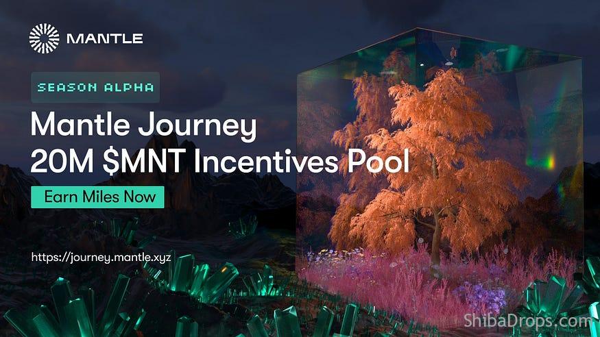 Create Your Profile to Access the Season Alpha 20M $MNT Incentives Pool