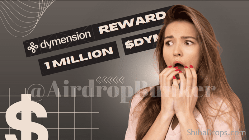 Claim Your Share! Dymension’s Froopyland Incentivized Testnet Offers 1 Million DYM Reward