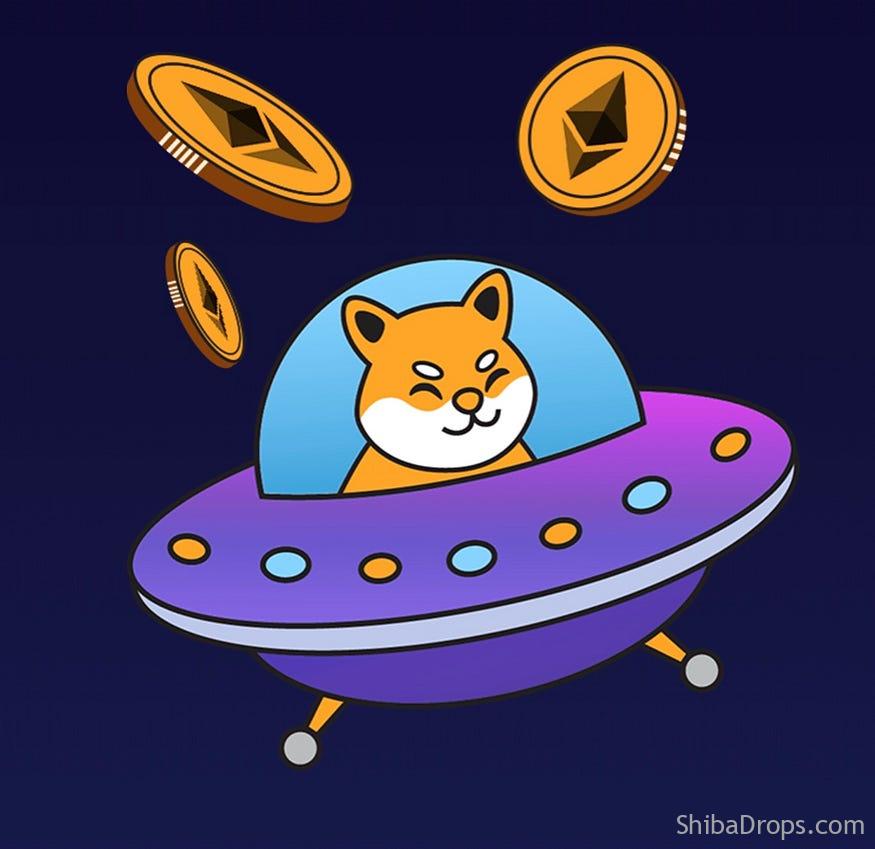 Pilotdog Memecoin ($PLD) AIRDROP confirmado para todos os usuários do Orbiter Finance!