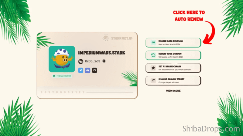 StarknetID has announced a new feature Automatic Renewal and also 3 months renewing for free for .stark holders.