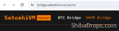 SatoshiVM Ultimate Guide to the Airdrop