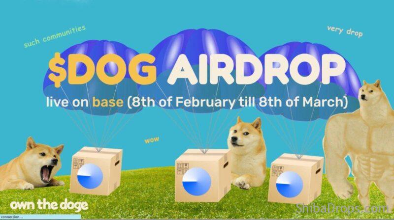 $DOG Airdrop for Active users on Base