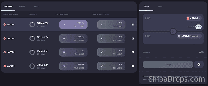 Testnet PRYZM AIRDROP