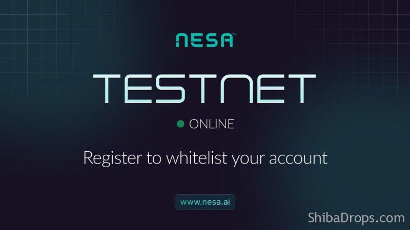 Get whitelisted for Nesa Testnet