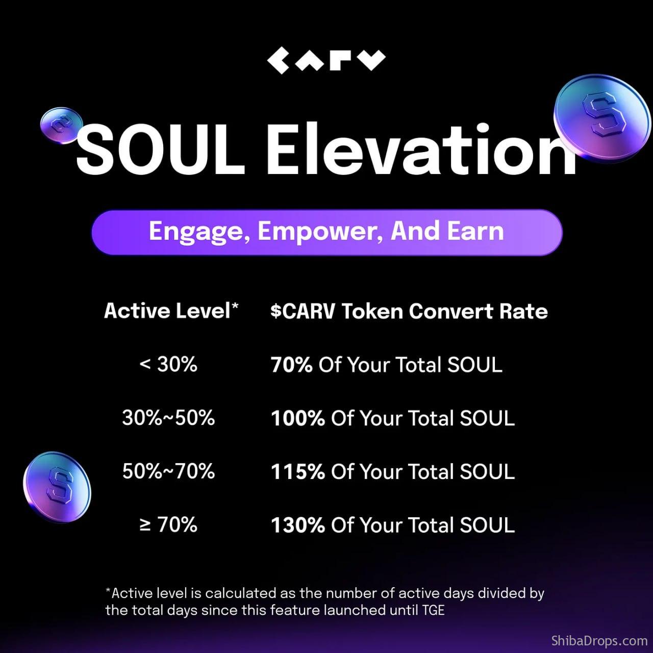 Carv SOUL Elevation Engage Empower and Earn
