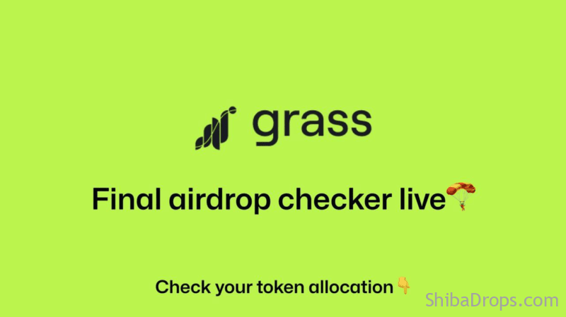 The Grass Final Checker is Live